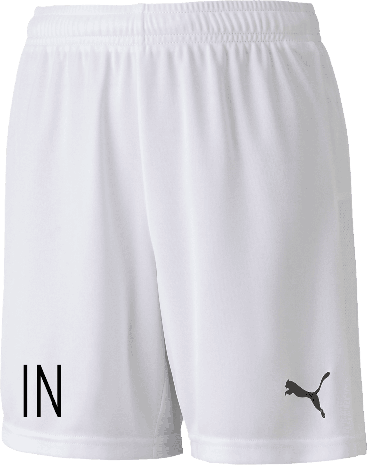Puma TeamGoal 23 knit shorts Sr
