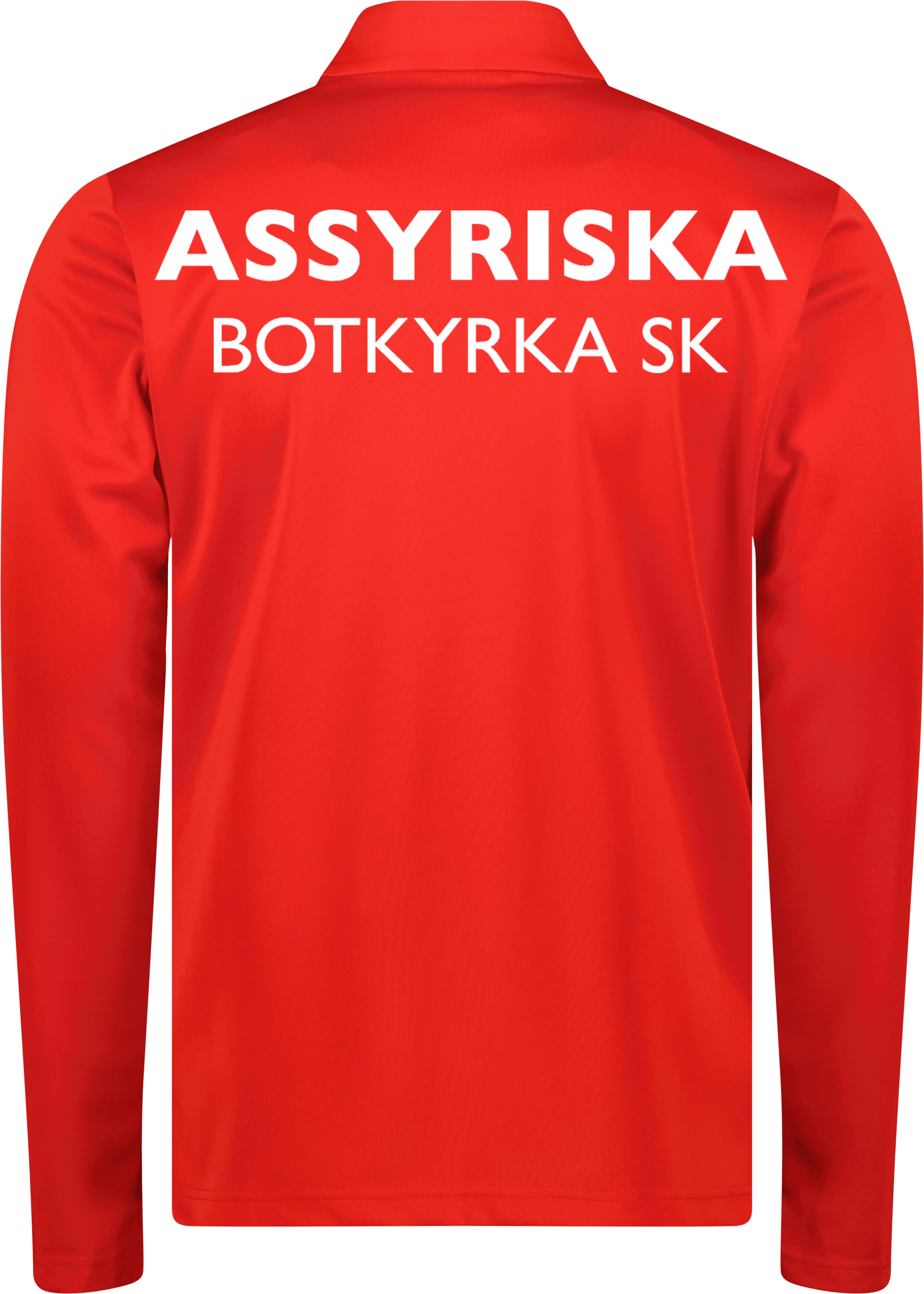 teamGOAL Training 1/4 Zip Träningströja Jr 