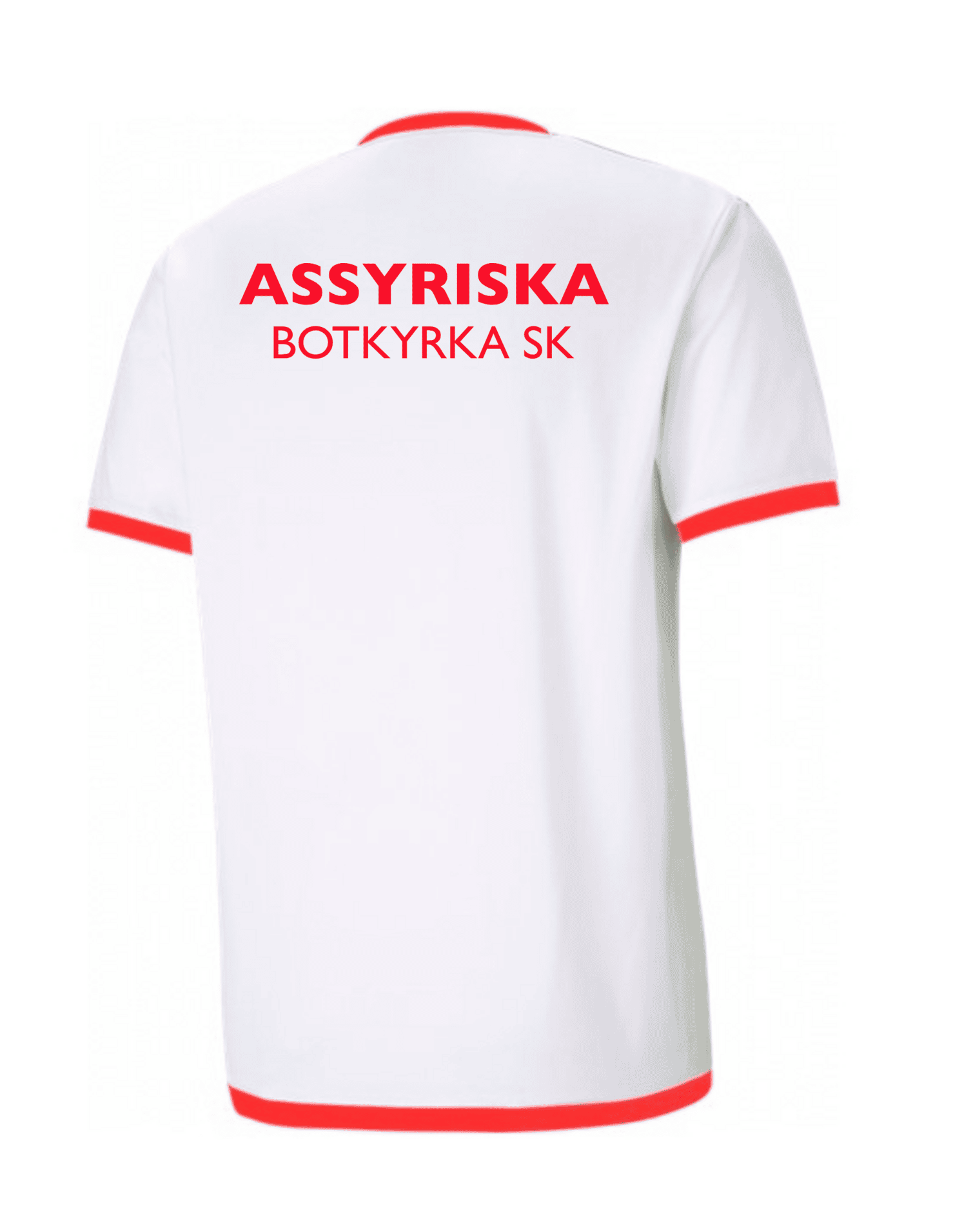 teamLIGA Sr träningst-shirt