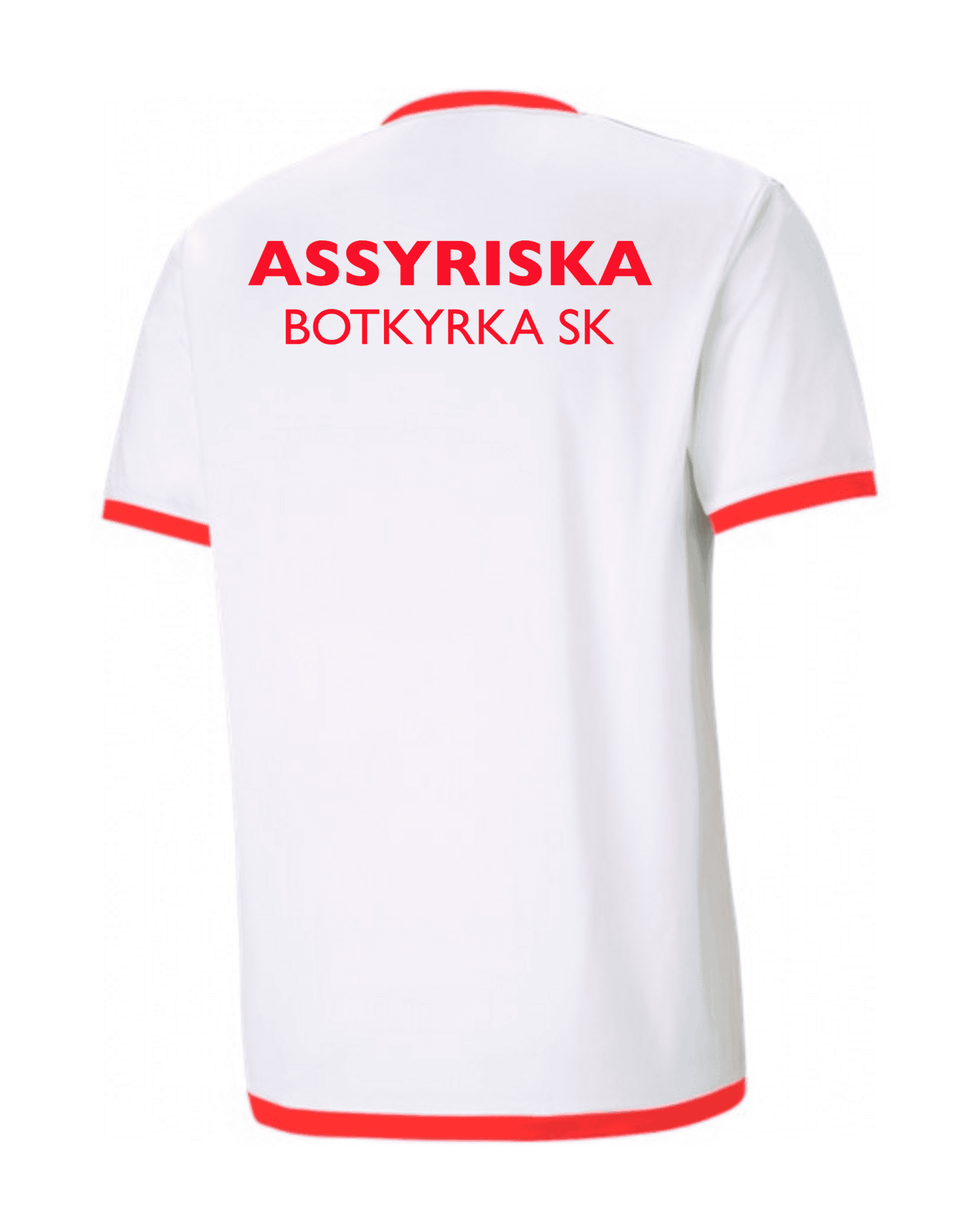 teamLIGA Jr träningst-shirt