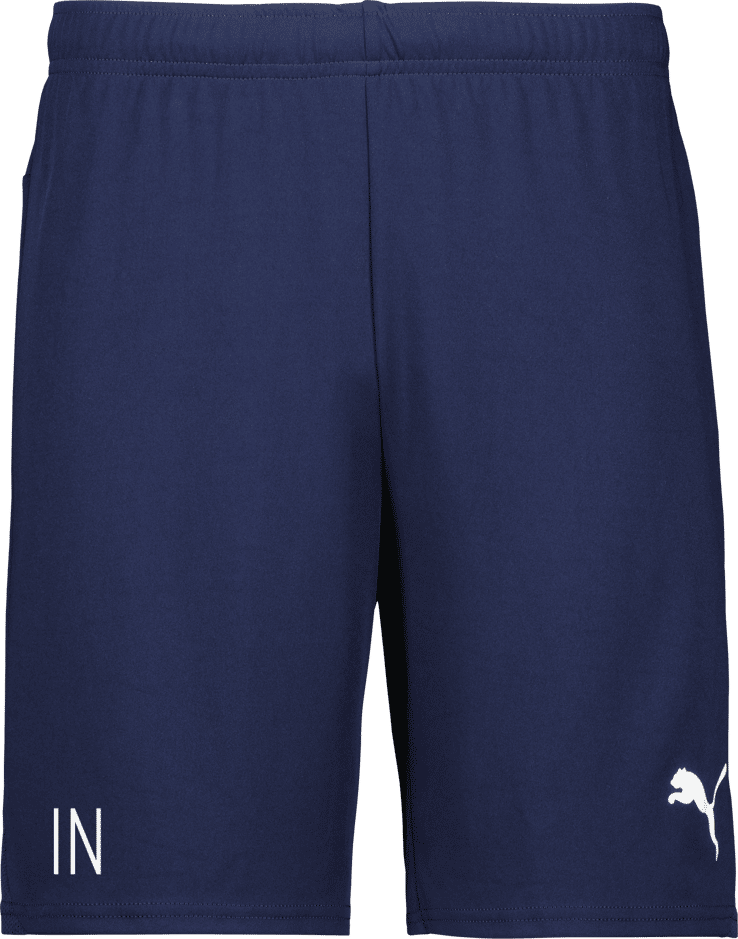 Puma teamGOAL Shorts 