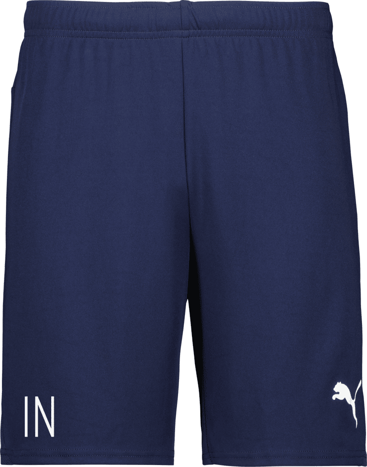 Puma teamGOAL Shorts Jr 