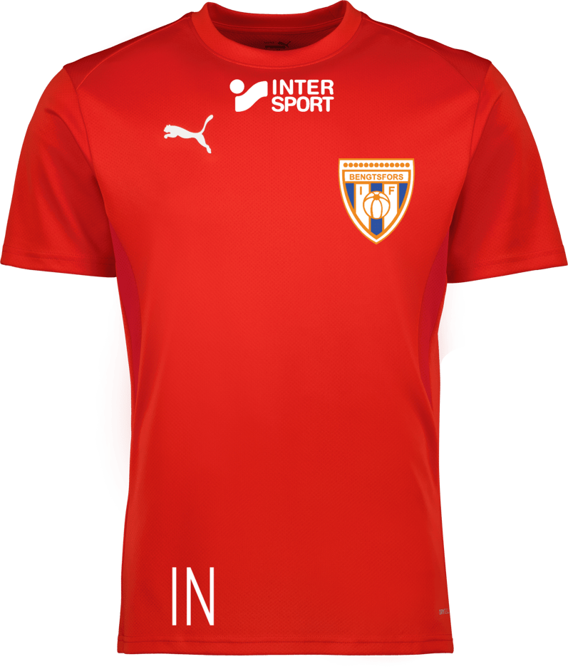 Puma teamGOAL Jersey Jr 