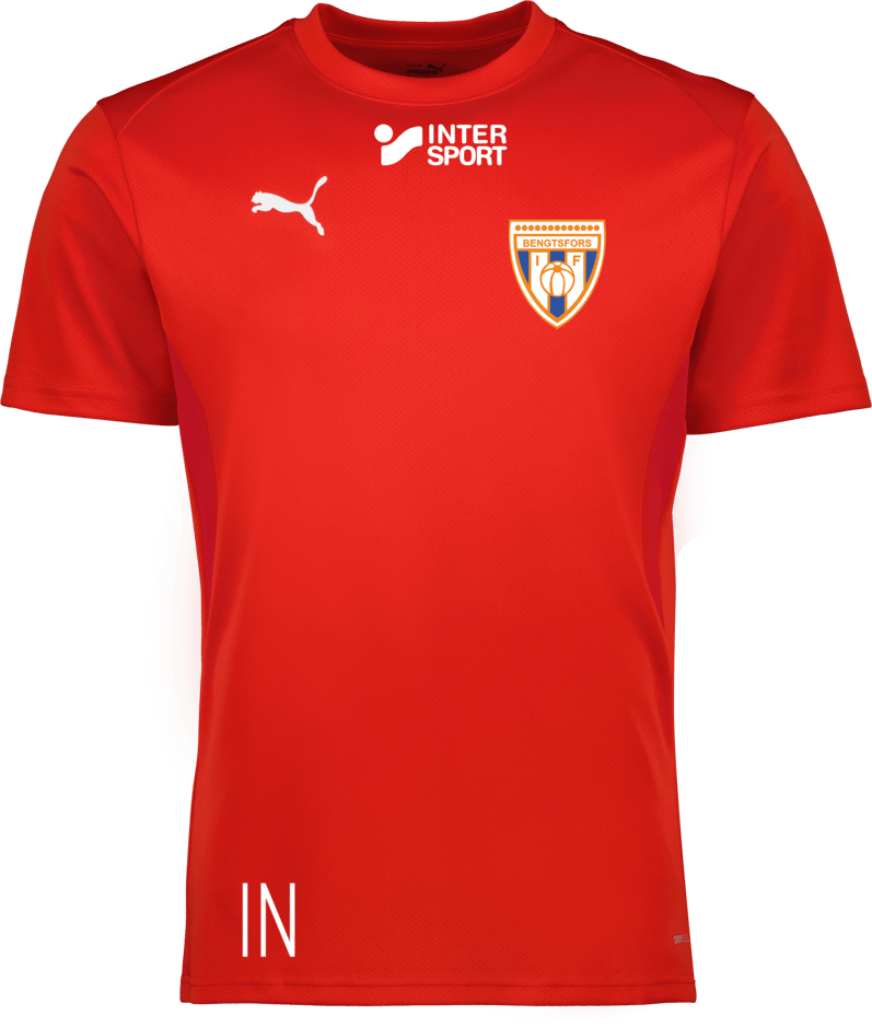 Puma teamGOAL Jersey 