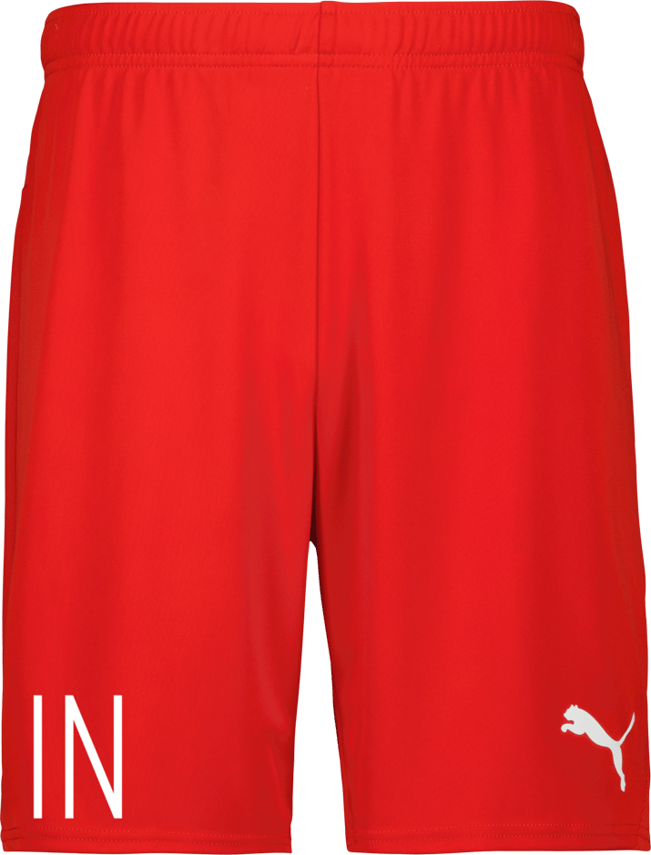 Puma teamGOAL Shorts Jr 