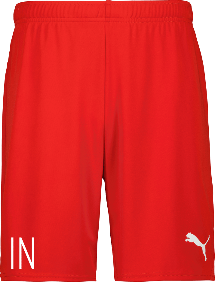 Puma teamGOAL Shorts 