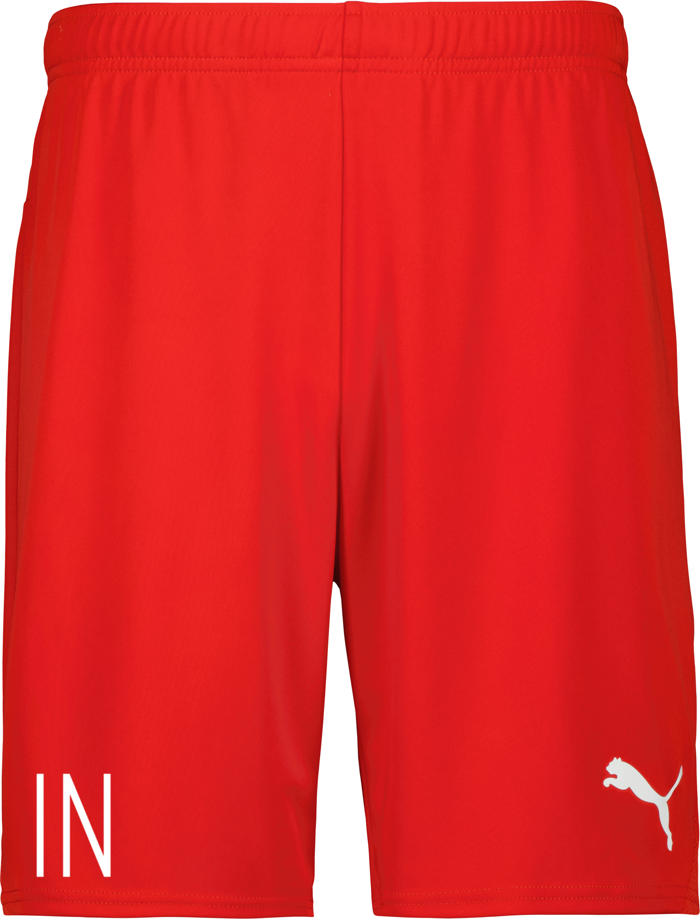 teamGOAL Shorts 