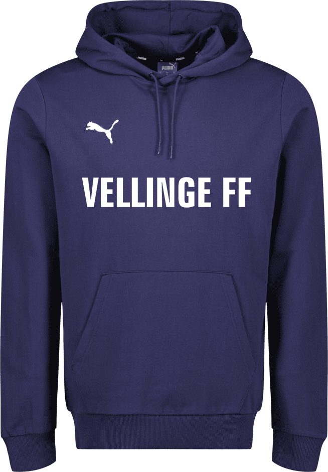 Puma teamGOAL Casuals Hoody 