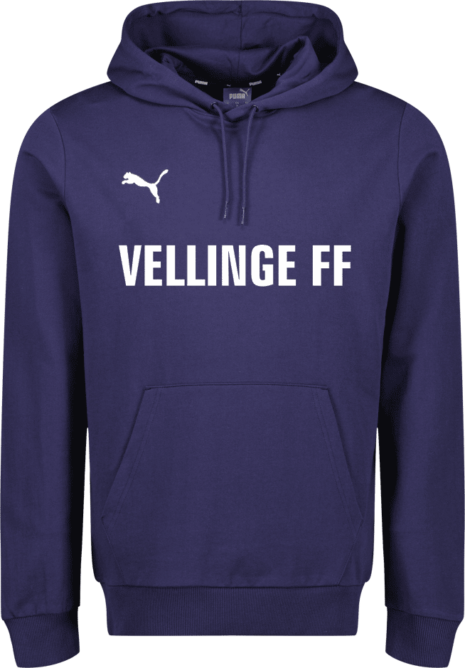 Puma teamGOAL Casuals Hoody Jr 