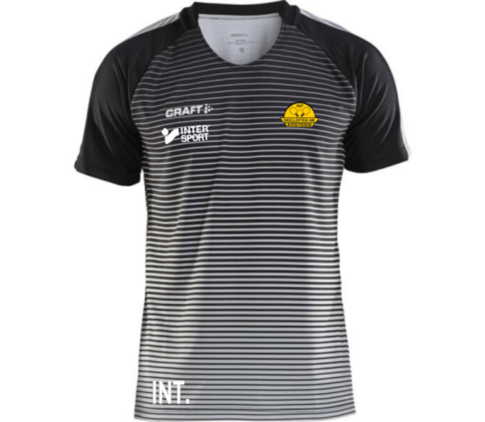 Craft Pro Control Stripe Jersey W