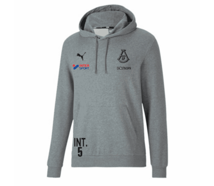 Puma teamGOAL 23 Causals Hoody