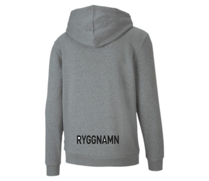 Puma teamGOAL 23 Casuals Hooded Jacket Jr