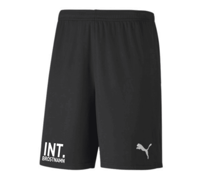 Puma TeamGoal 23 knit shorts Sr