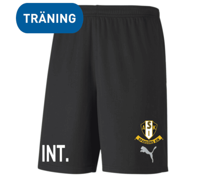 Puma TeamGoal 23 knit shorts Jr
