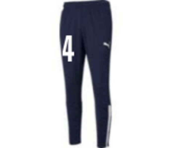 Puma TeamLIGA Sr träningsbyxor