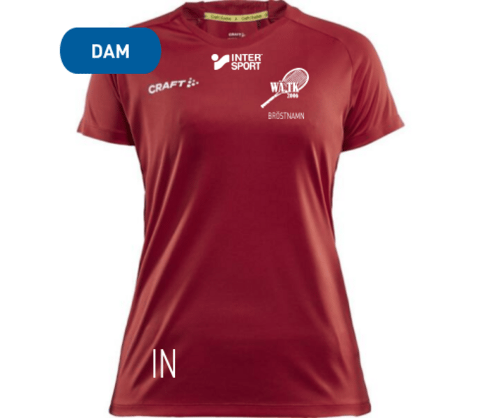 Craft Evolve W T-shirt