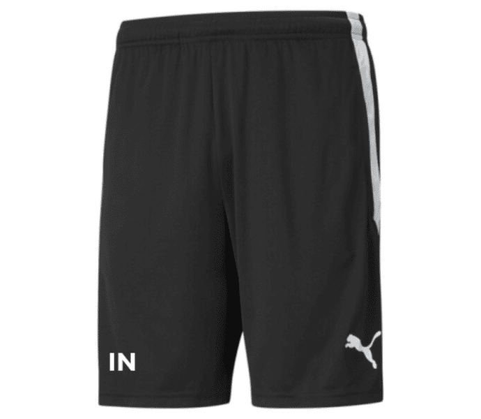 Puma TeamLIGA träningsshorts