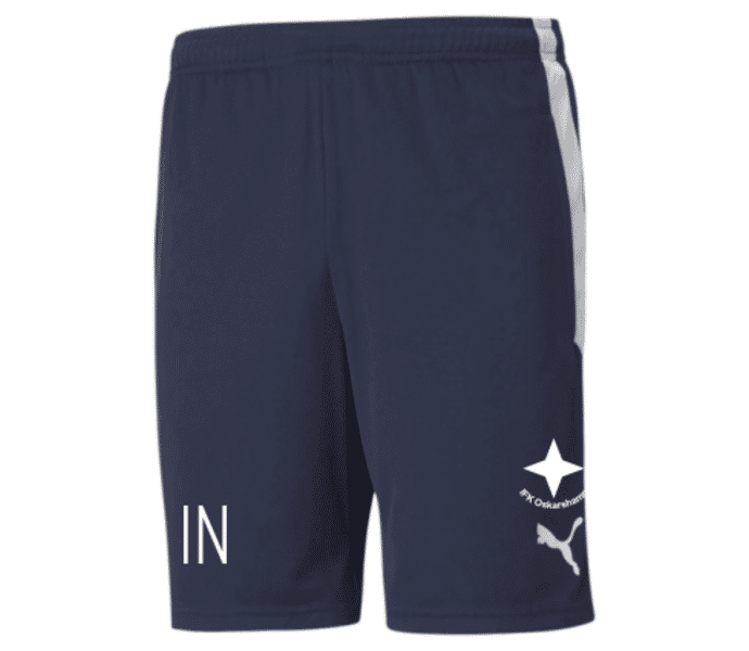 Puma TeamLIGA träningsshorts