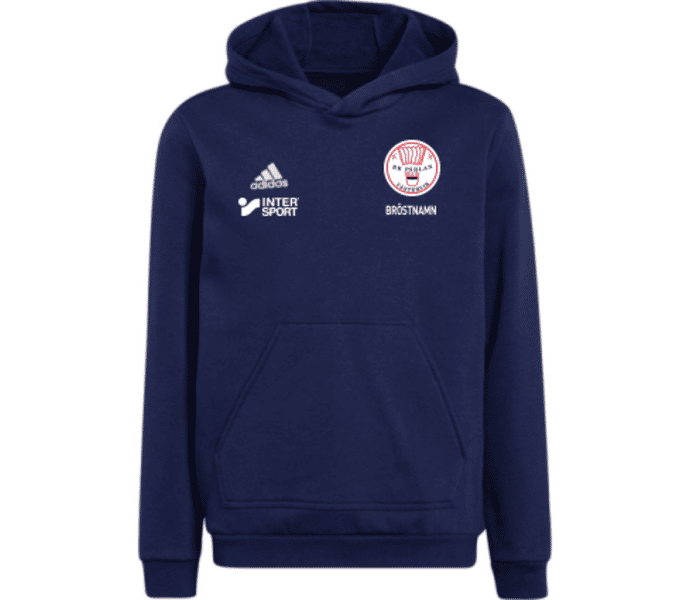 adidas Entrada22 Jr Hoody