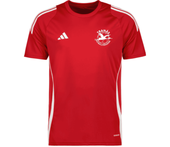adidas Tiro 24 jr t-shirt