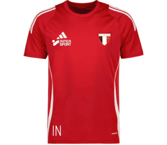 adidas Tiro 24 jr t-shirt