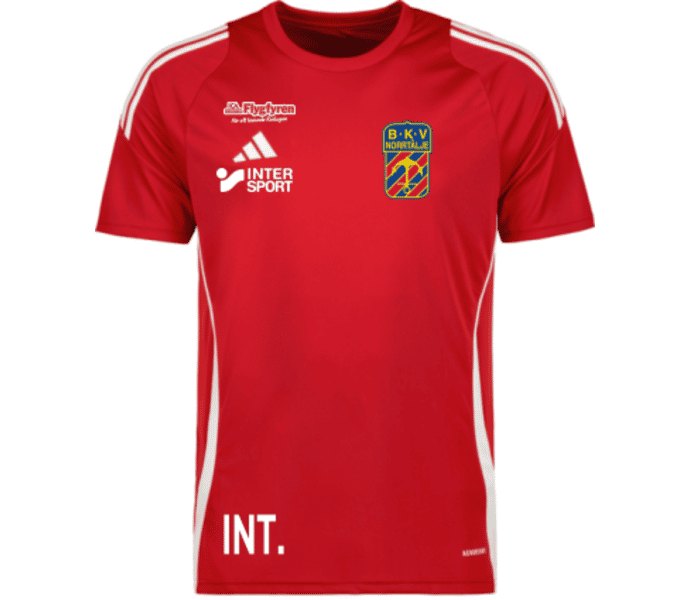 adidas Tiro 24 jr t-shirt