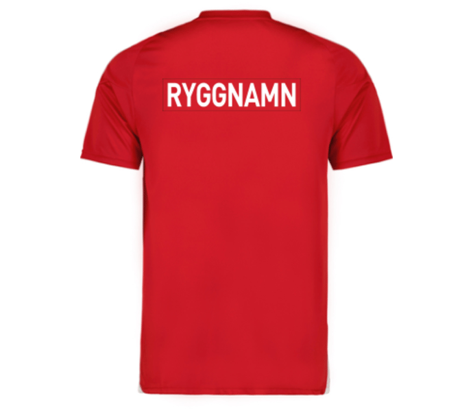 adidas Tiro 24 jr t-shirt