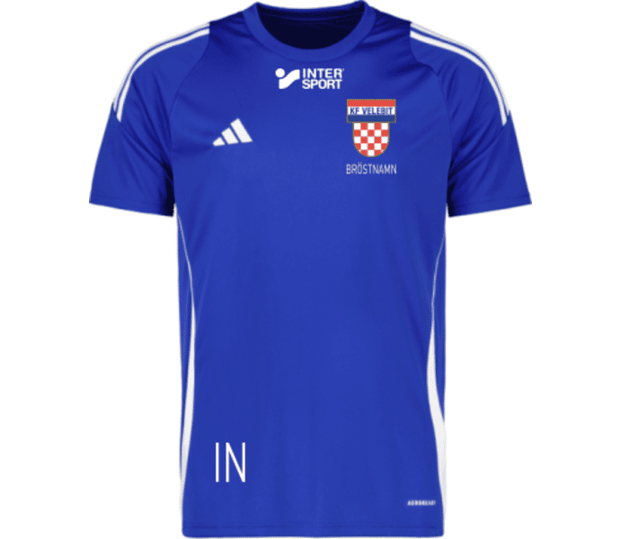 adidas Tiro 24 jr t-shirt
