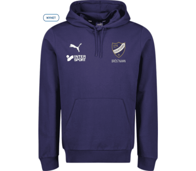 Puma teamGOAL Casuals Hoody