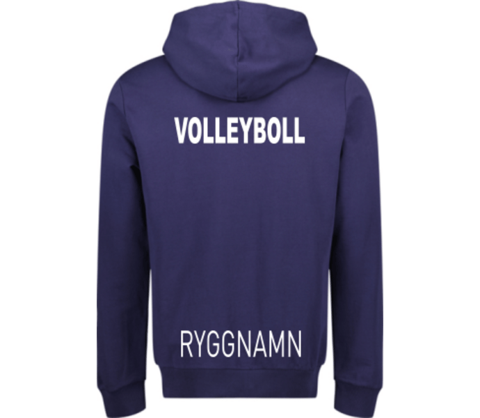 Puma teamGOAL Casuals Hoody 