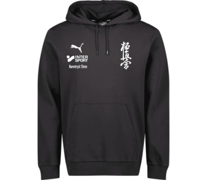 Puma teamGOAL Casuals Hoody Jr