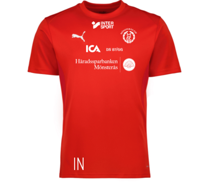 Puma teamGOAL Jersey 