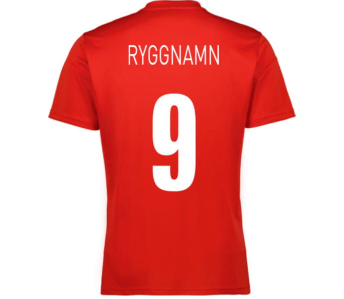 Puma teamGOAL Jersey 