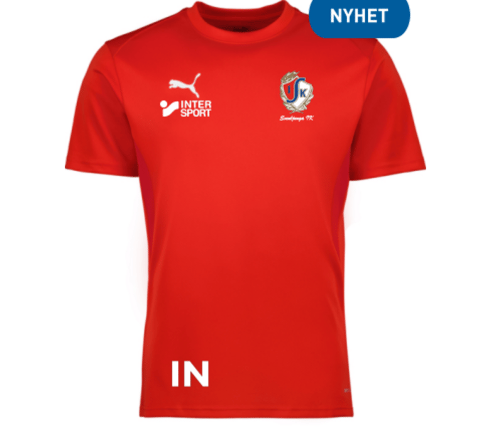 Puma teamGOAL Jersey 