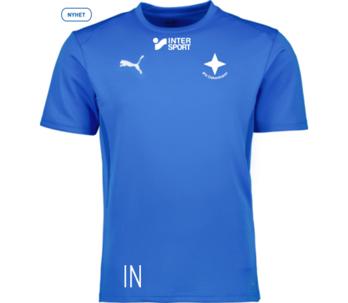 Puma teamGOAL Jersey 