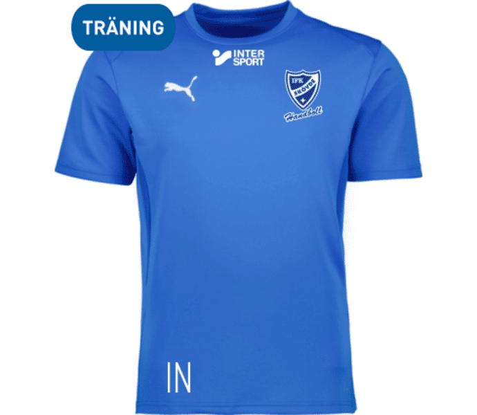 Puma teamGOAL Jersey 