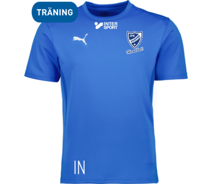 Puma teamGOAL Jersey 