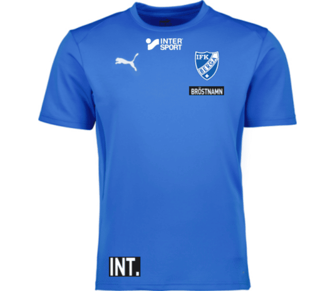 Puma teamGOAL Jersey 
