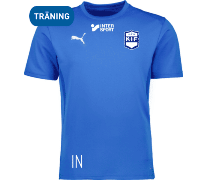 Puma teamGOAL Jersey 