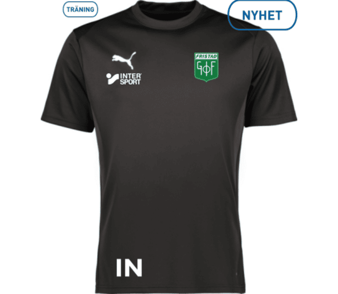 Puma teamGOAL Jersey 