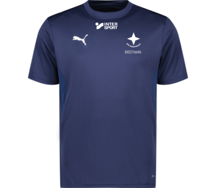 Puma teamGOAL Jersey 