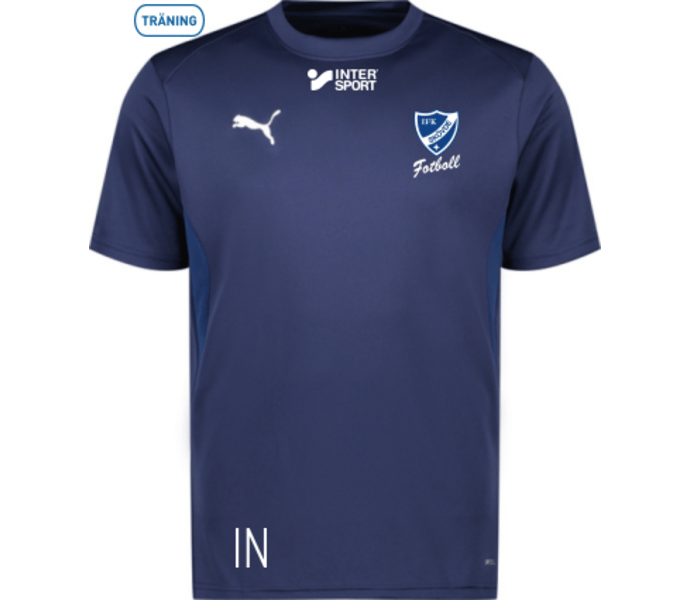 Puma teamGOAL Jersey 