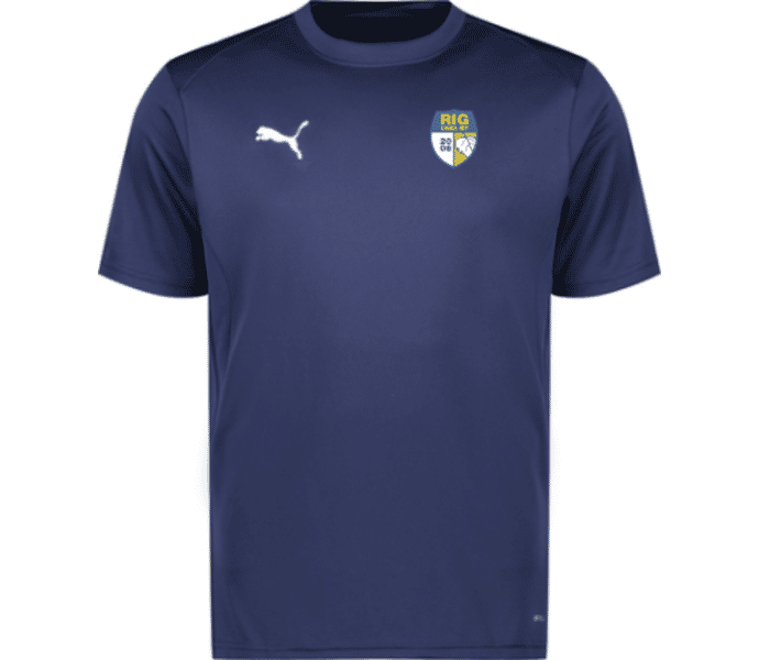 Puma teamGOAL Jersey 