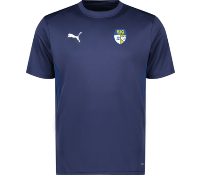 Puma teamGOAL Jersey 