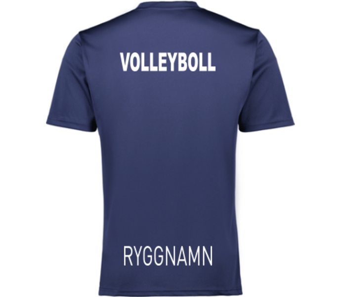 Puma teamGOAL Jersey 