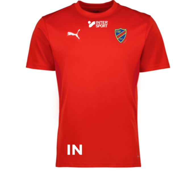 Puma teamGOAL Jersey Jr 