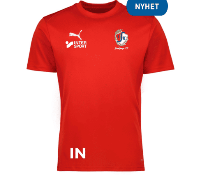 Puma teamGOAL Jersey Jr 