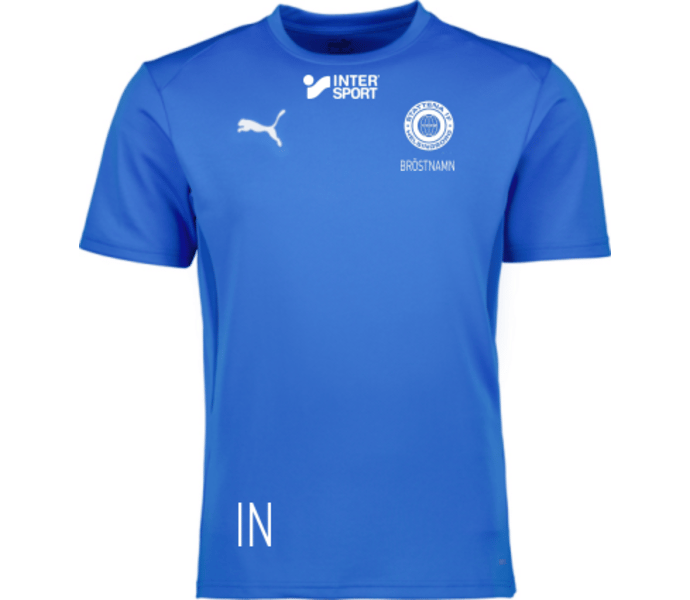 Puma teamGOAL Jersey Jr 