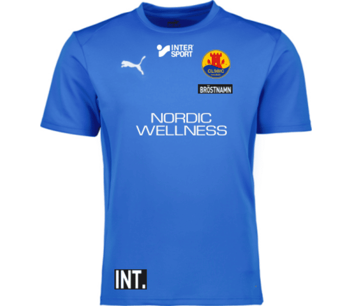 Puma teamGOAL Jersey Jr 