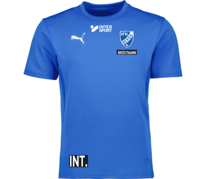 Puma teamGOAL Jersey Jr 